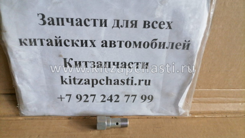 Клапан перепускной BOSCH ТНВД (WP10) Shacman sx-3254-js-384 2469403530